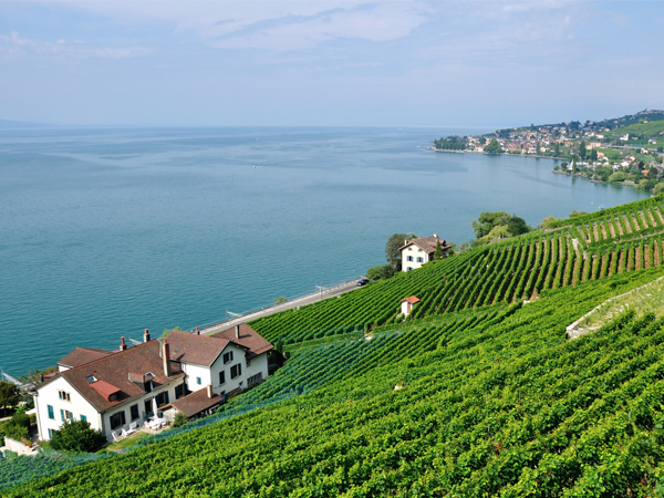 Immobilier Vaud